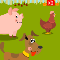 Farmyard Race!