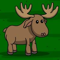 Moose Race!